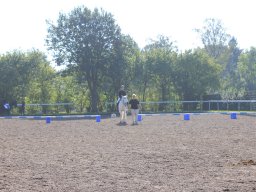 img_0279_web